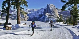 world class cross country skiing at Badger Pass Yosemite